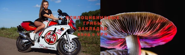 Альфа ПВП Елабуга
