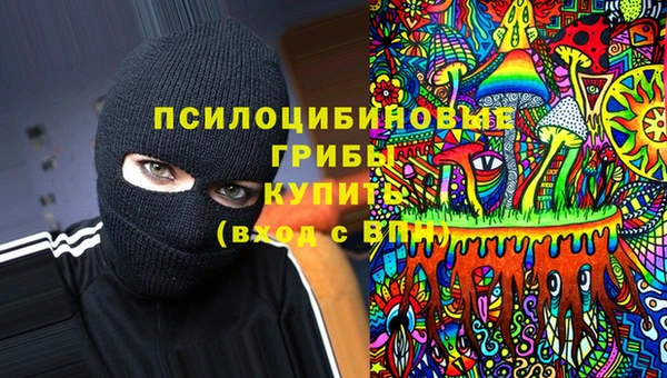 spice Елизово