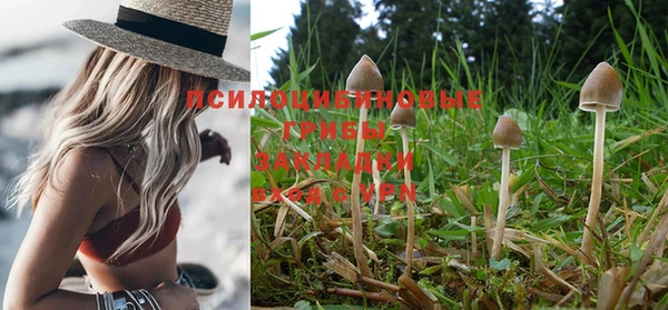 spice Елизово