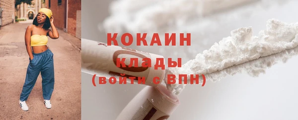 ПСИЛОЦИБИНОВЫЕ ГРИБЫ Ельня