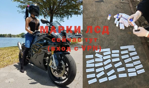 ПСИЛОЦИБИНОВЫЕ ГРИБЫ Ельня