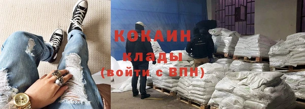 ПСИЛОЦИБИНОВЫЕ ГРИБЫ Ельня
