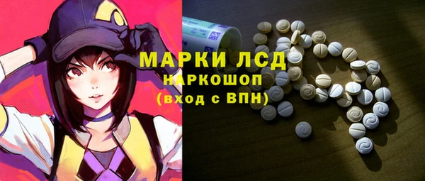 ПСИЛОЦИБИНОВЫЕ ГРИБЫ Ельня