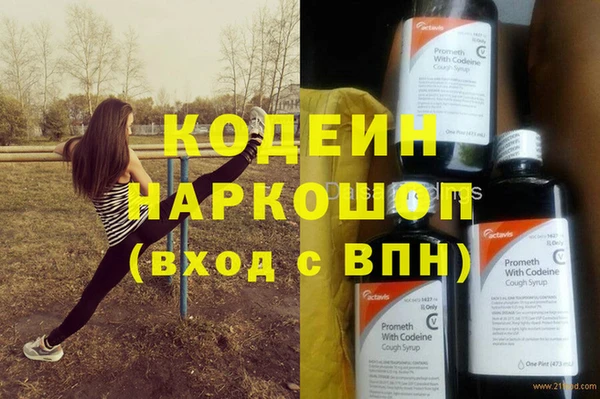 ПСИЛОЦИБИНОВЫЕ ГРИБЫ Ельня