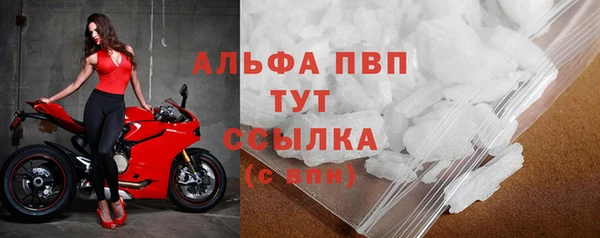 ПСИЛОЦИБИНОВЫЕ ГРИБЫ Ельня
