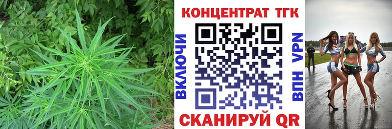 ТГК гашишное масло сколько стоит MEGA маркетплейс Краснокамск