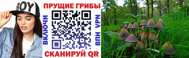 Псилоцибиновые грибы GOLDEN TEACHER  хочу   Краснокамск 